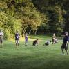 IMG 4283
