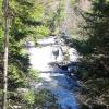 chorus fishing 026