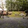 054 img 4045