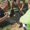 b-img 0058