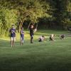 IMG 4267