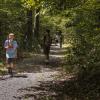 img 7478