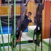 img 0034