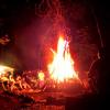 camp03 2061