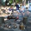camp03 1959