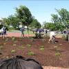 lrgv eagle project 039