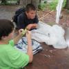 067 IMG 0881