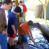 chorus fishing 012