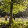 042 img 3993